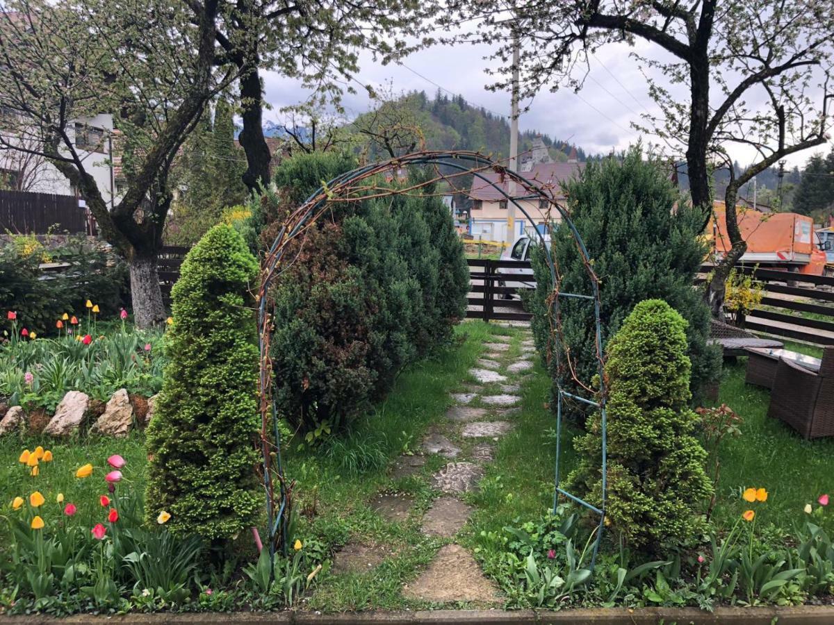 Casa Maria Villa Bran  Ngoại thất bức ảnh